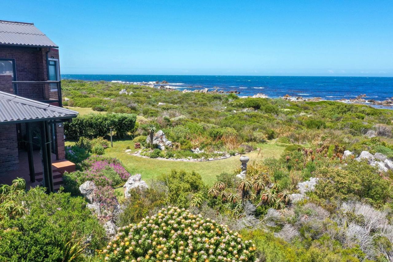 Bettyʼs Bay The Amaryllis Luxury Apartment Bella Donna מראה חיצוני תמונה